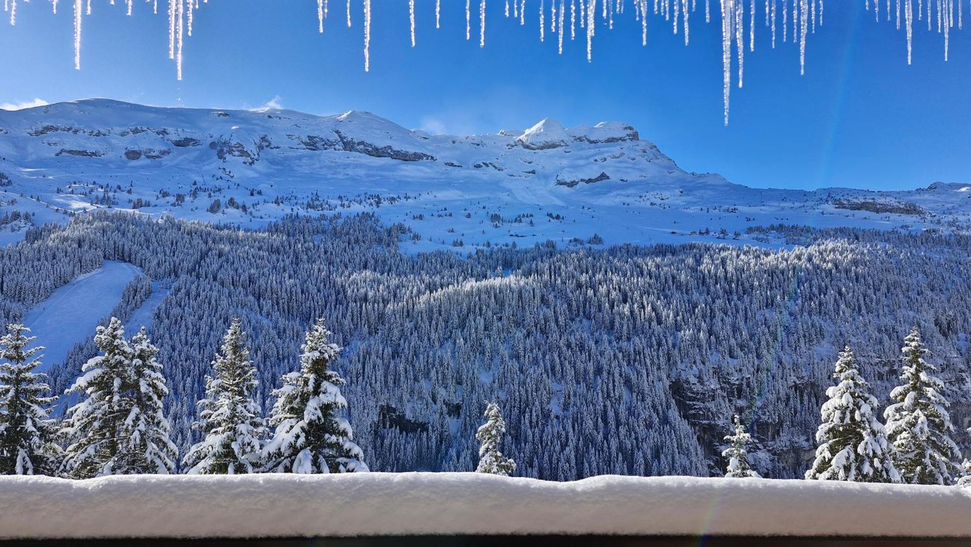Residence Les Pleiades Flaine Dış mekan fotoğraf